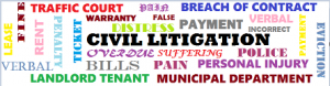 civil litigation words sm